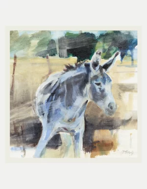 Donkey Neighbor