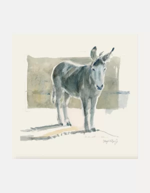 Little Burro