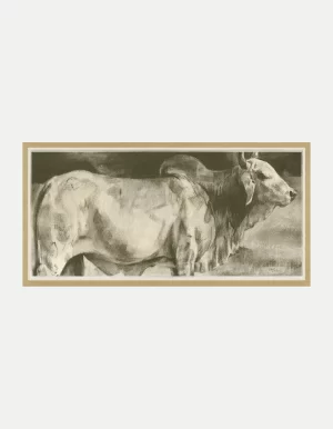 White Brahma